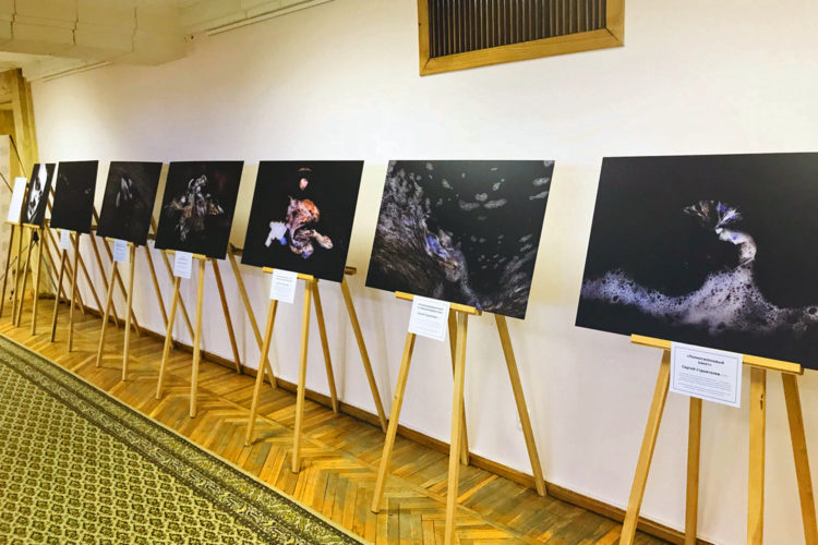 МУзей МУсора организовал фотовыставку на 4-м Международном экологическом форуме в Калуге