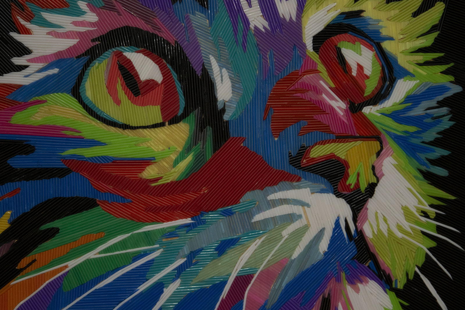 Интерактивный ЭкоМузей «МУЗМУС», Егорьевск (Московская область)